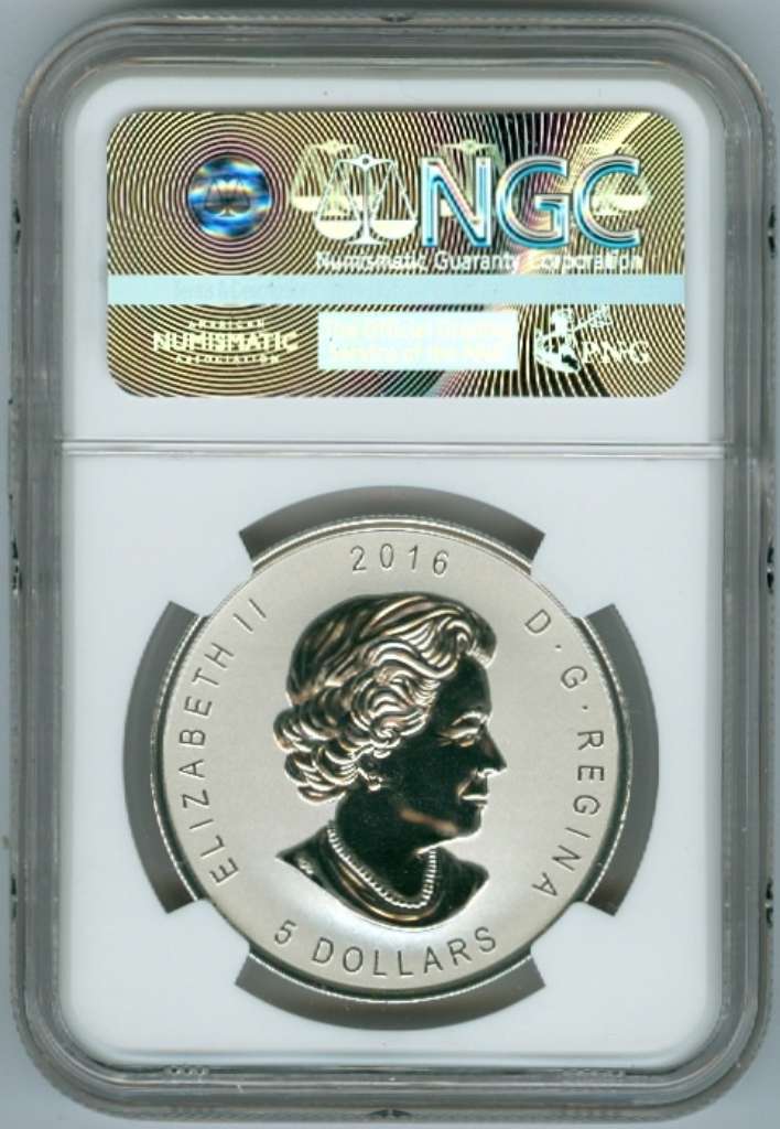 fullMatchVisiblePF 69NGC