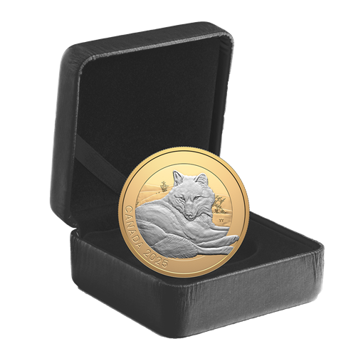 In Box.  2025 Canadian $20 pure silver coin depicting serene grey wolf in proof detail.