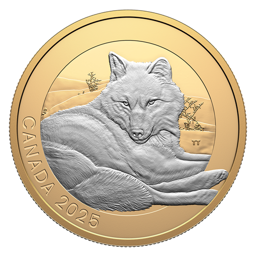 2025 Canada $20 Grey Wolf silver coin, proof finish with detailed resting wolf design.