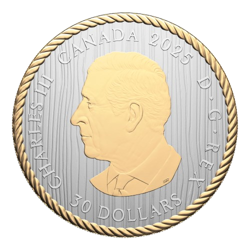 Reverse of The Ancestor coin by Jason Hunt with woodgrain texture