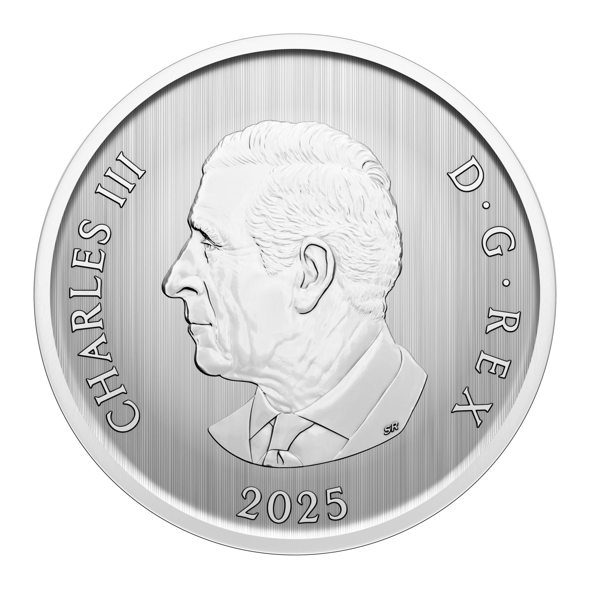 Back side, Festive collectible coin featuring animated polar bears sliding in snow under a decorated tree.