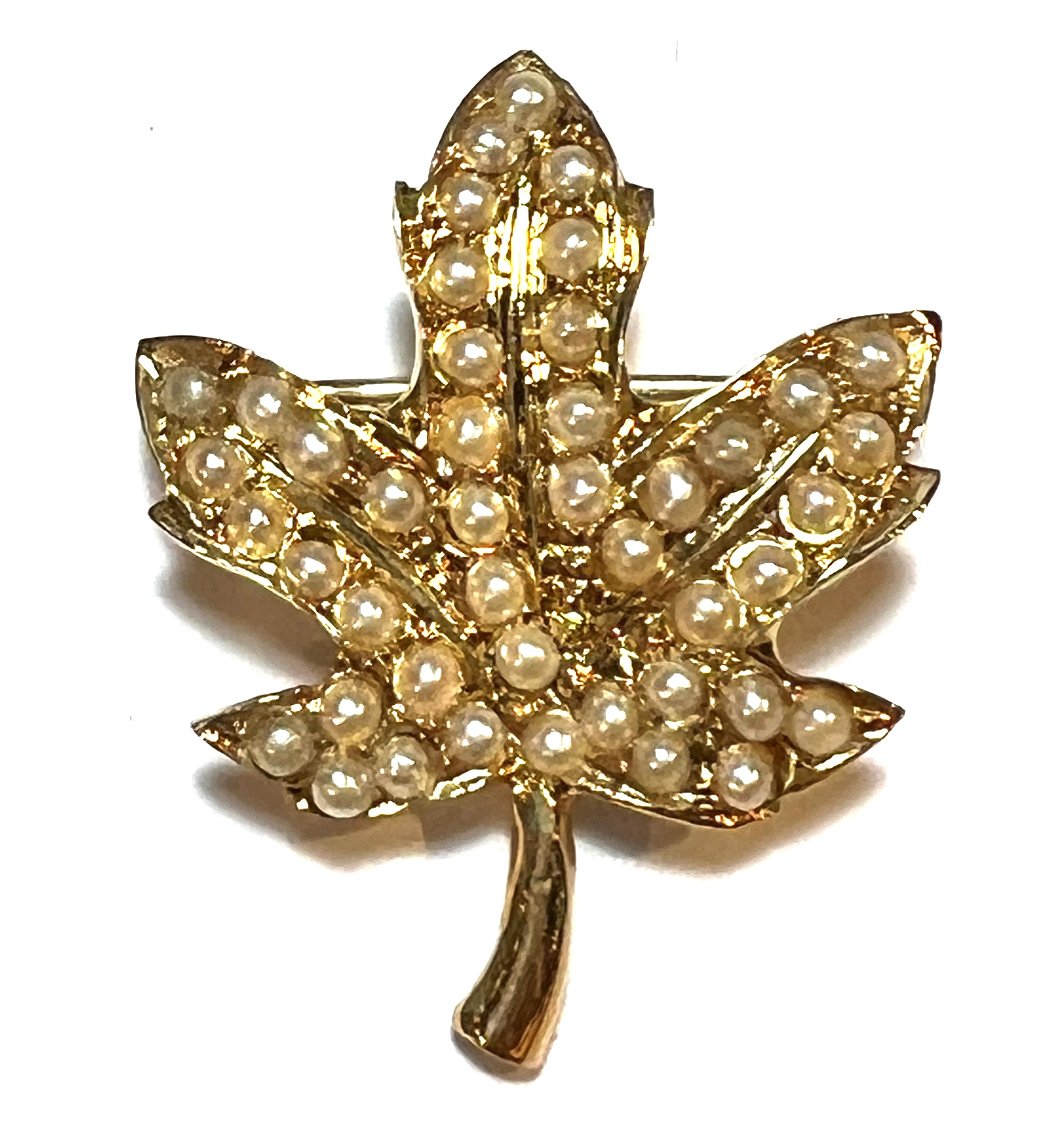 14kt yellow gold maple leaf brooch adorned with delicate seed pearls, angled to show intricate detailing and elegant design
