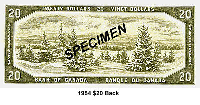 partialMatchVisibleSpecial Order