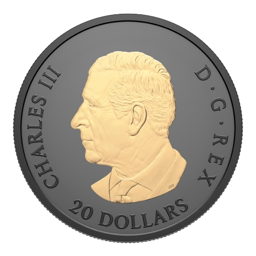 J&M Coin & Jewellery