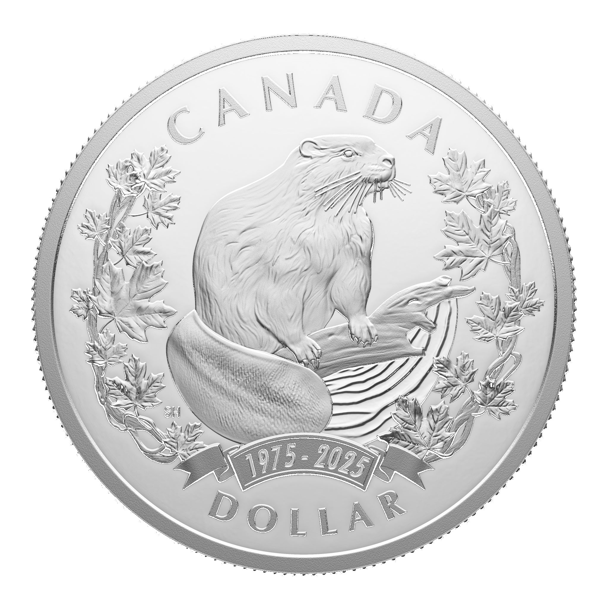 J&M Coin & Jewellery