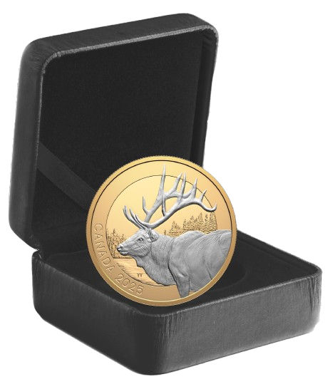 Close-up image of the 2025 Canada Silver Elk proof coin showcasing selective gold plating and engraved details