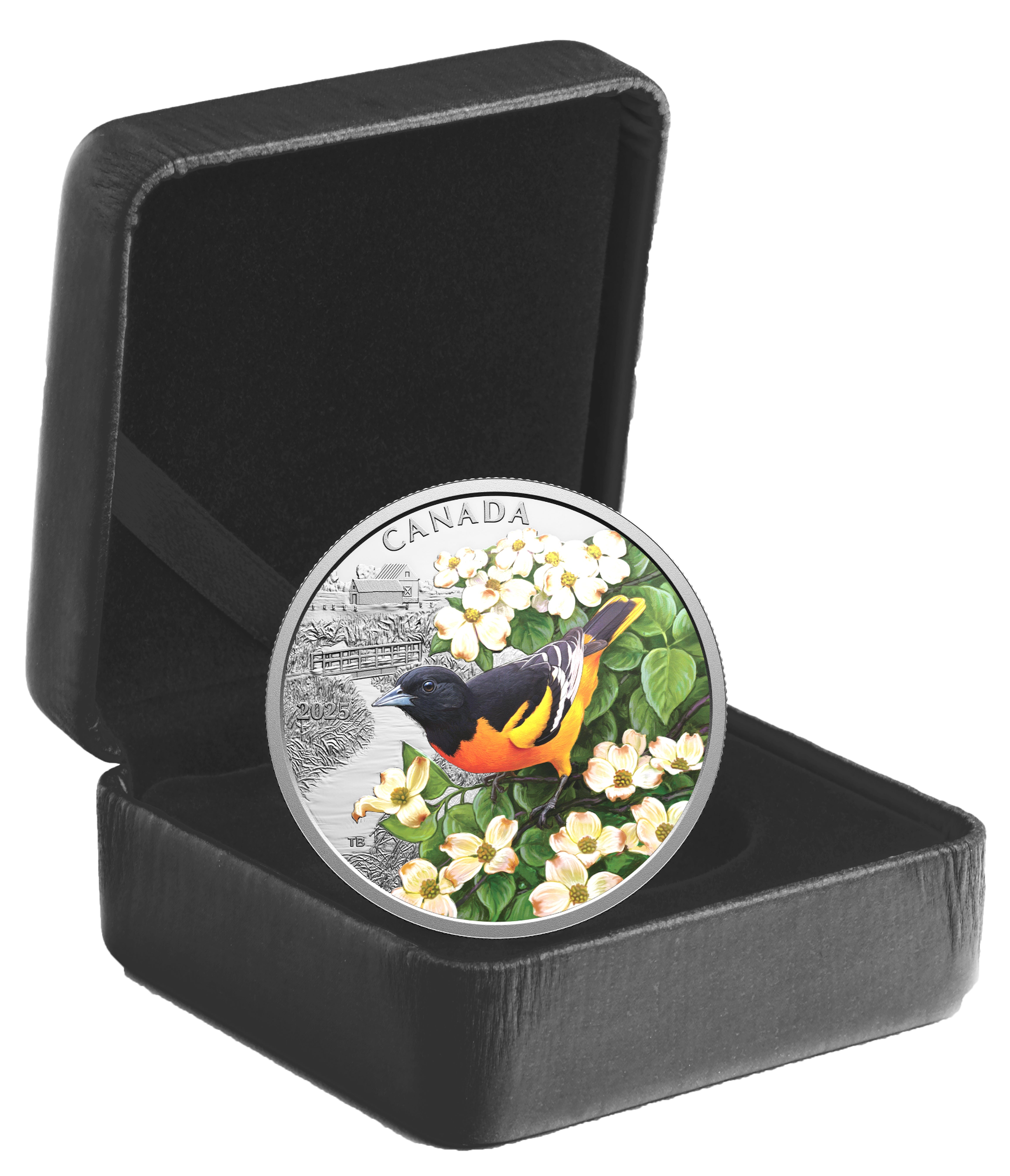Reverse image of 2025 $20 silver coin showcasing Baltimore Oriole with vibrant coloration and naturalistic theme