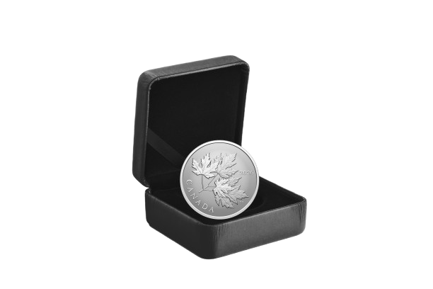 Reverse side and packaging of 2026 $10 Gleaming Maple Leaves silver coin including Royal Canadian Mint-branded clamshell and black beauty box
