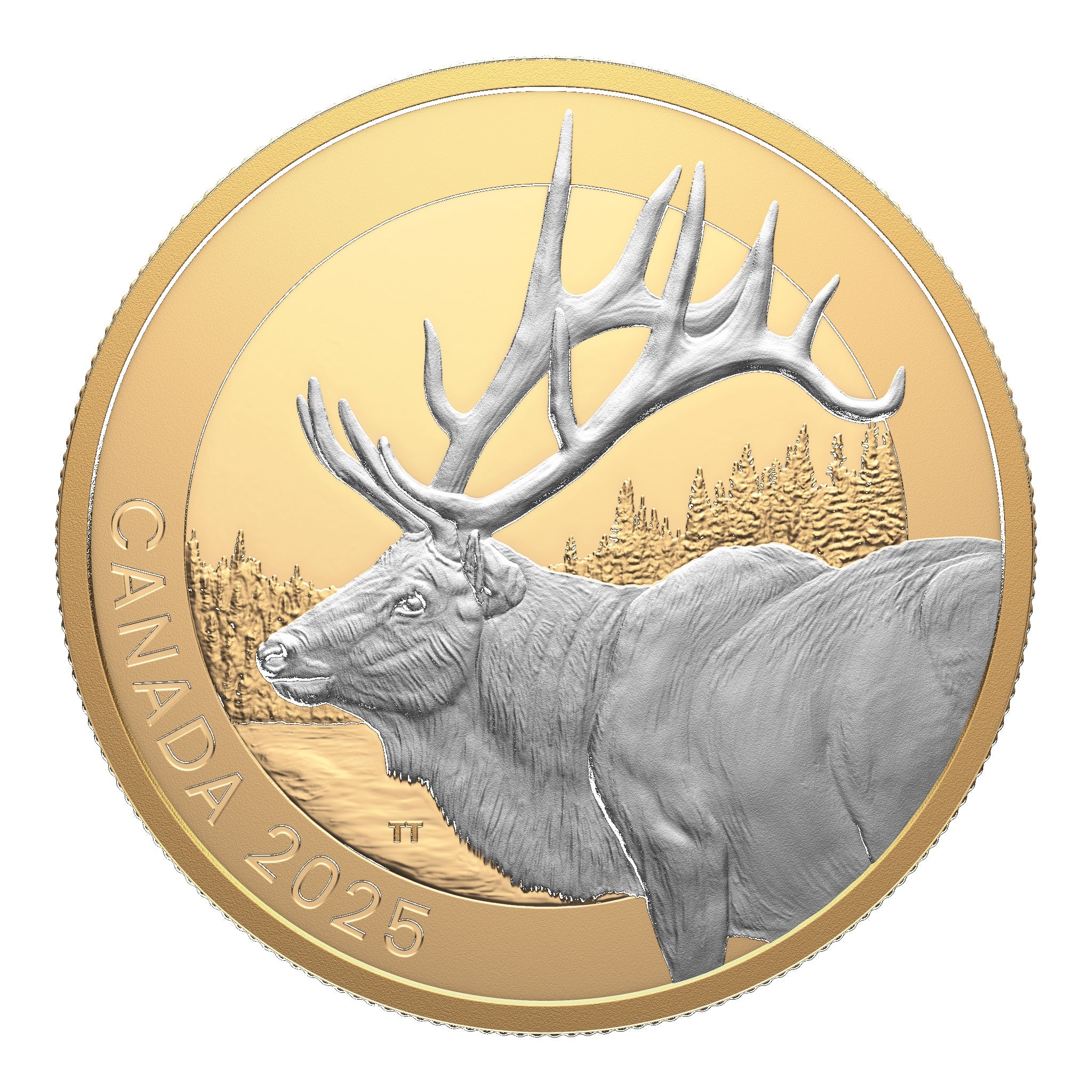 J&M Coin & Jewellery