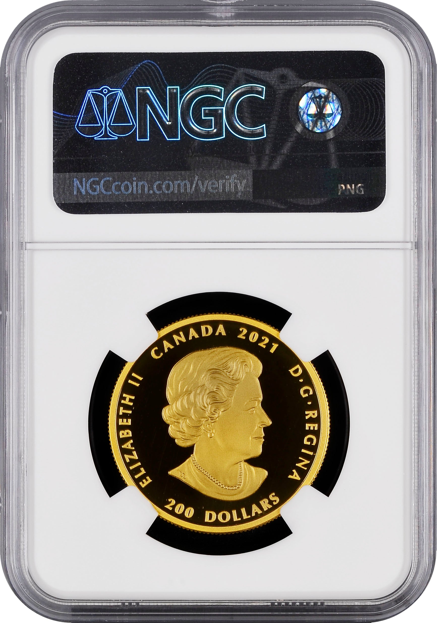 Reverse view of 2021 $200 Canadian gold coin showing detailed Northwest Coast formline art of bighorn sheep