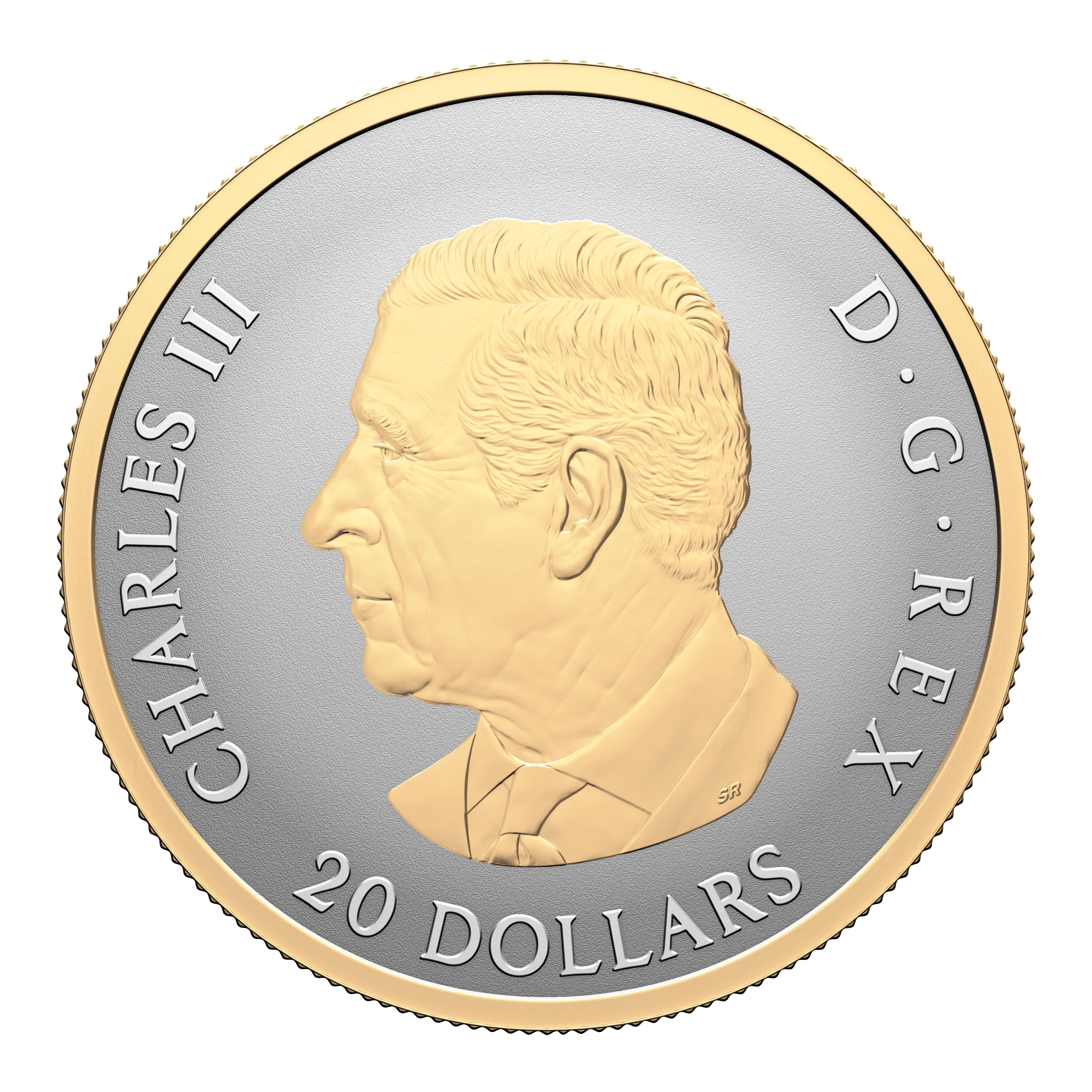 Reverse side detail of 2025 $20 fine silver coin with floral infinity motif and yellow gold plating, collectible coin