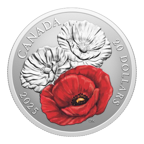 J&M Coin & Jewellery