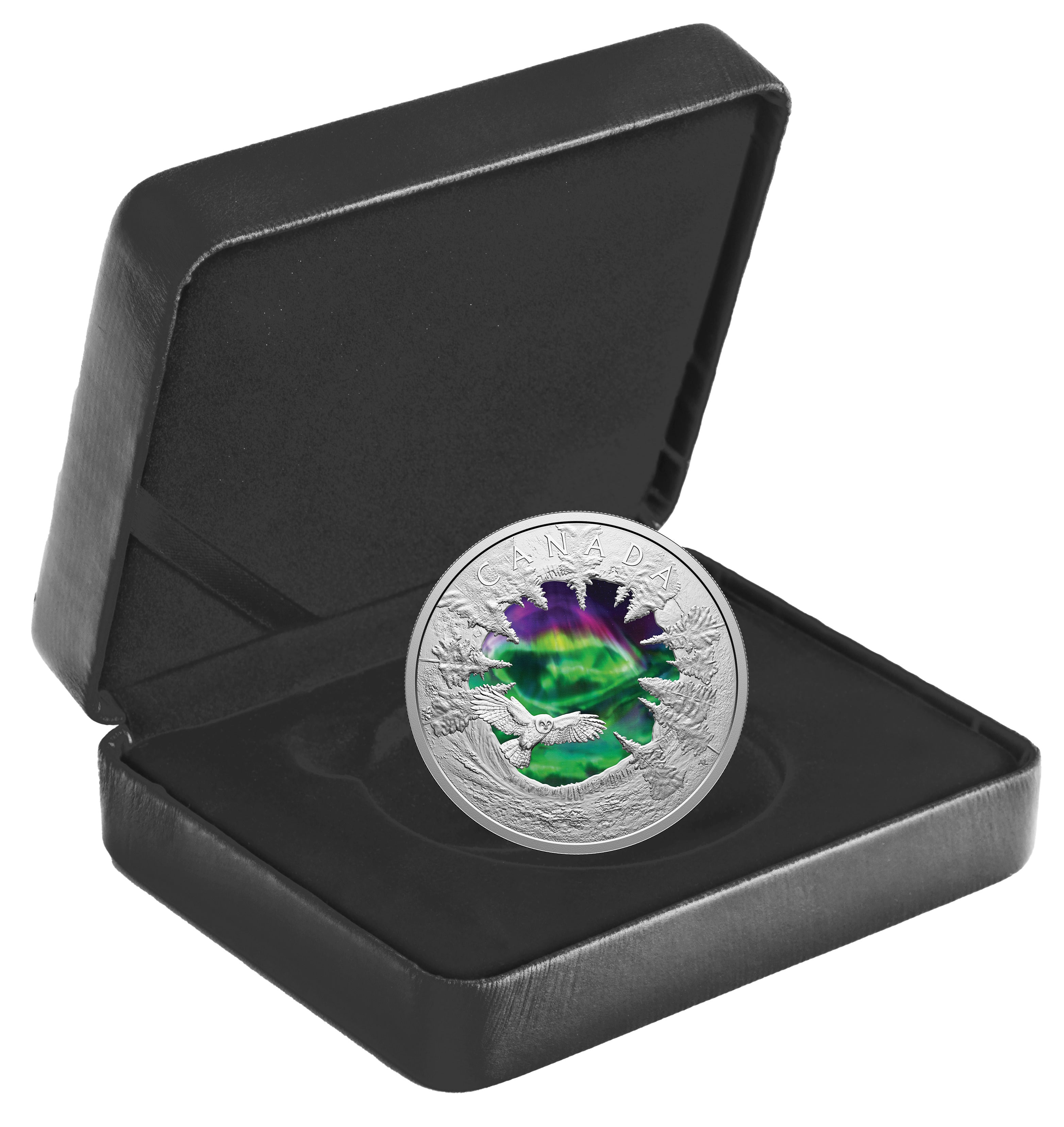 Obverse design of Canadian $30 silver coin featuring national symbols with proof luster