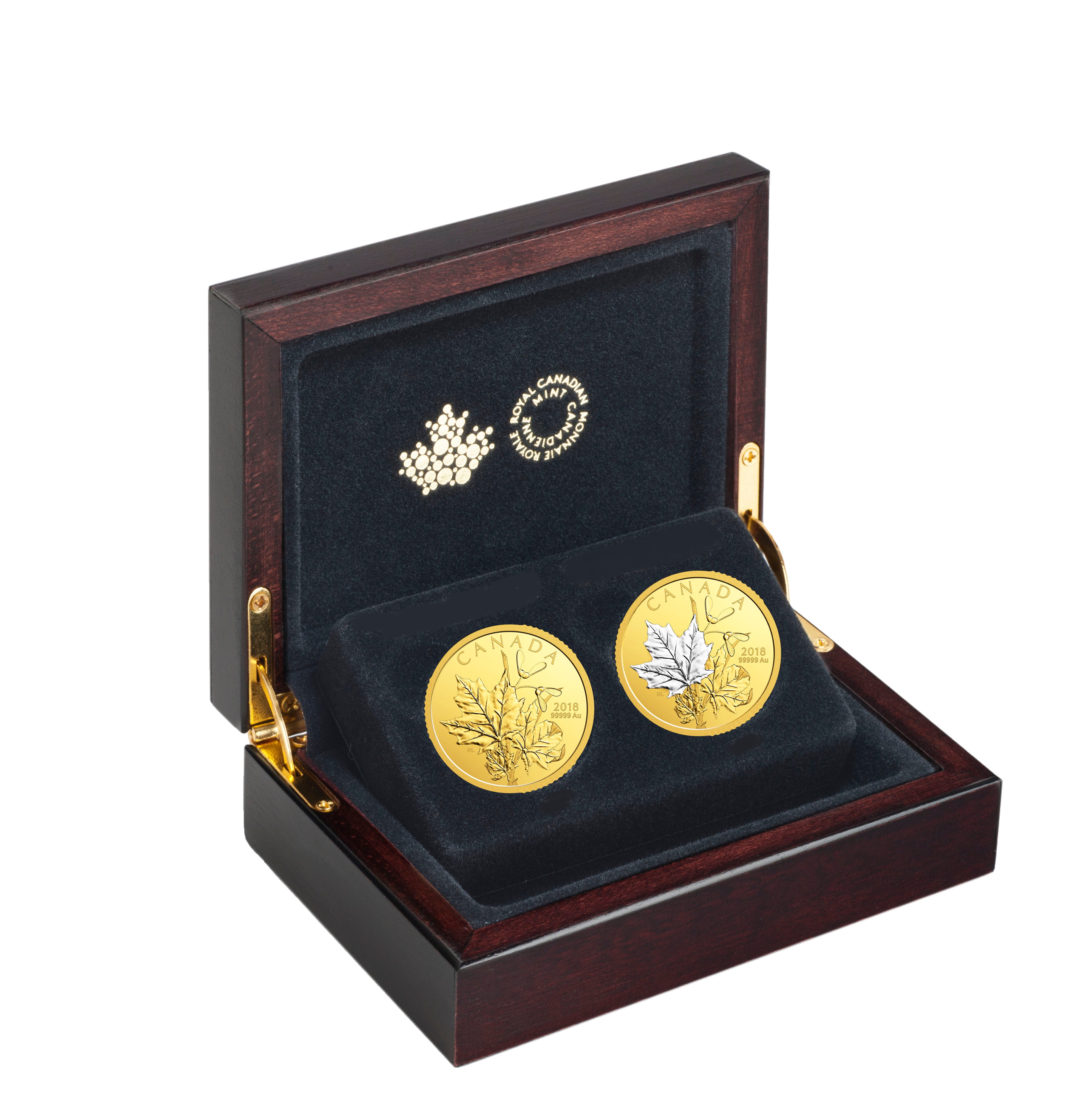 Close-up detail of gold coin botanical motif with maple leaves and double-winged fruits