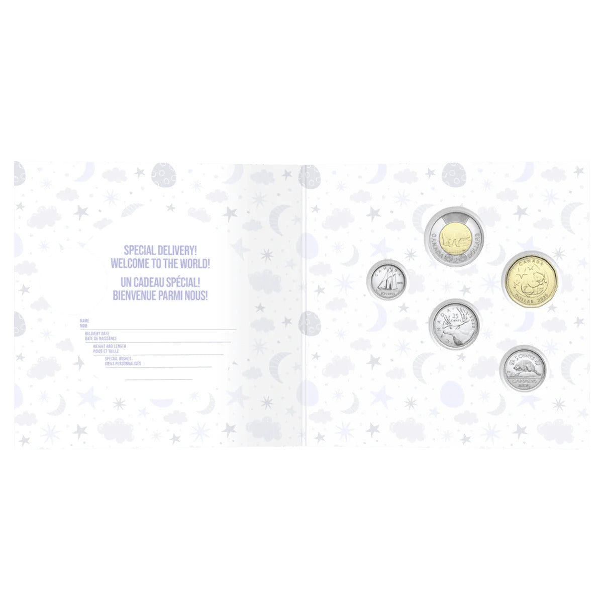 Close-up of 2025 Polar Bear-themed $1 coin with brilliant uncirculated finish, detailed polar bear motif