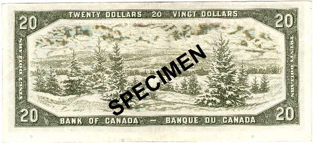 fullMatchVisibleModifiedBeattie-Rasminsky ReplacementVFN/A