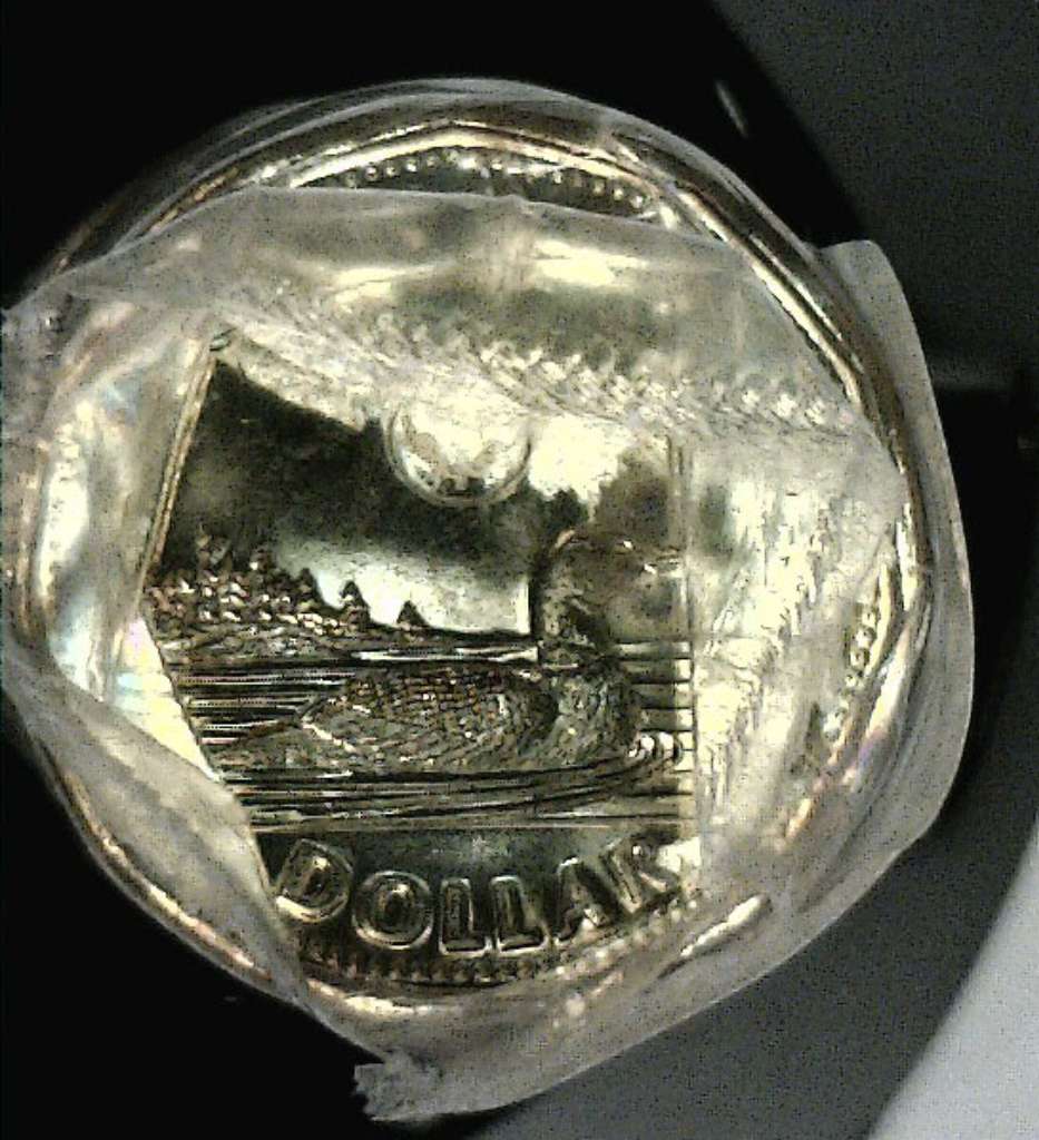 fullMatchVisible2014 Reg. LoonieOne Dollar