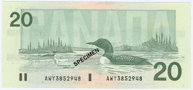 fullMatchVisible$20UNCN/A