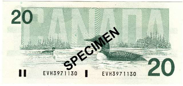 fullMatchVisibleBonin-Thiessen EVH without Back PNEFN/A