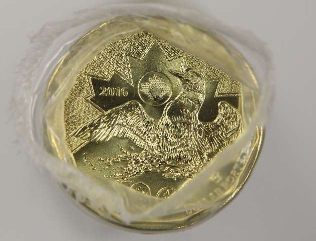 fullMatchVisible2016  Lucky LoonieOne Dollar