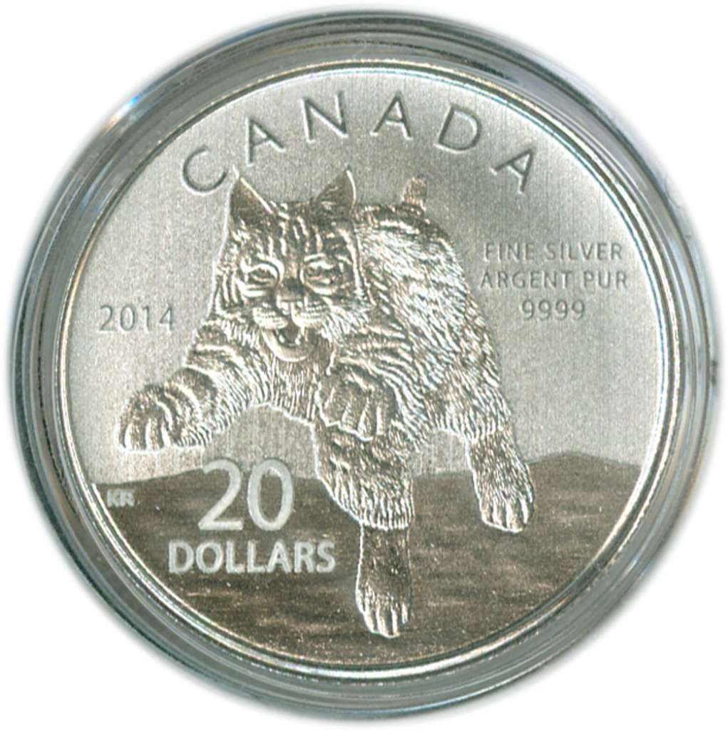 J&M Coin & Jewellery