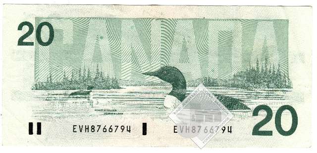 fullMatchVisibleBonin-Thiessen EVH without Back PNVF #3N/A