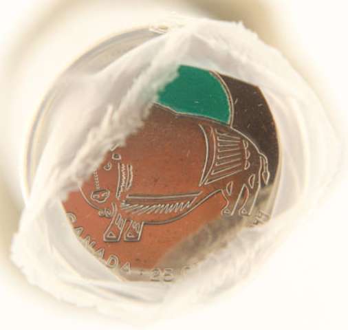 fullMatchVisible2011 "Wood Bison", mixed Plain & Coloured25 cents