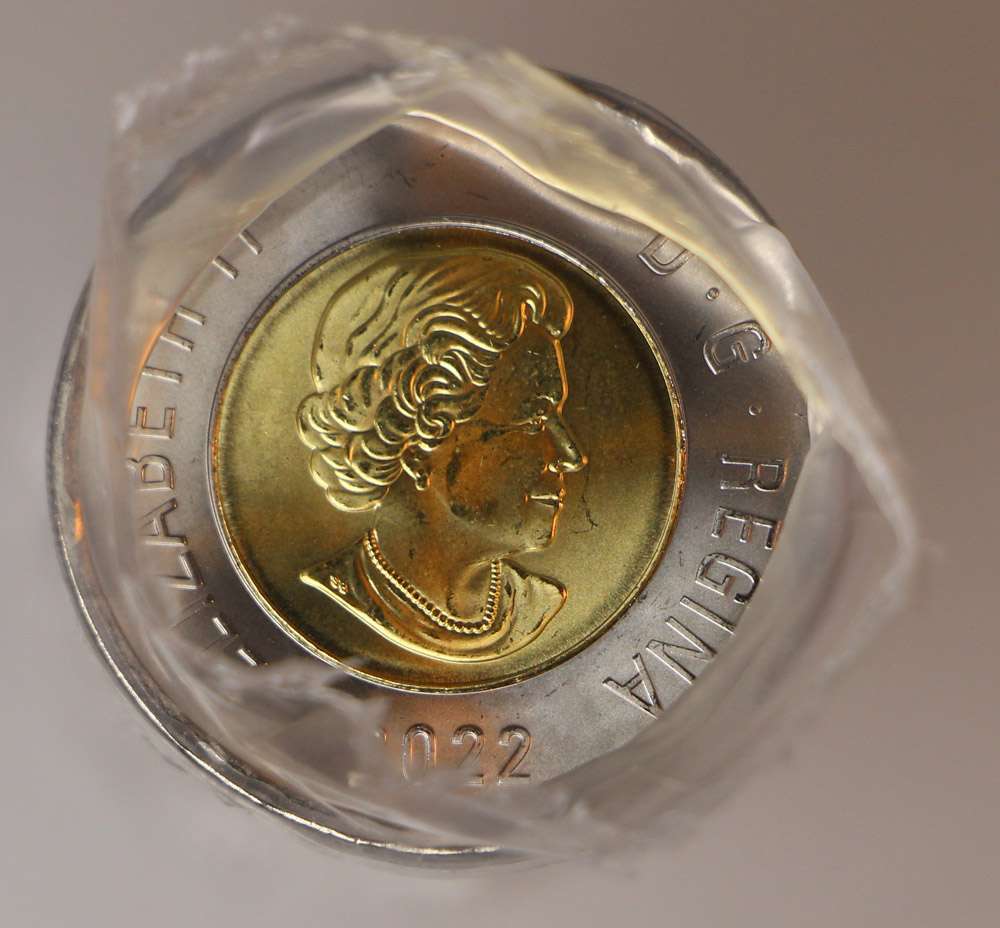 fullMatchVisible2022 (Polar Bear) RCM Original Roll of 25 Pieces, $50 Face Value$2