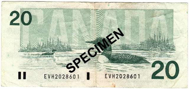 fullMatchVisibleBonin-Thiessen EVH without Back PNVF #2N/A