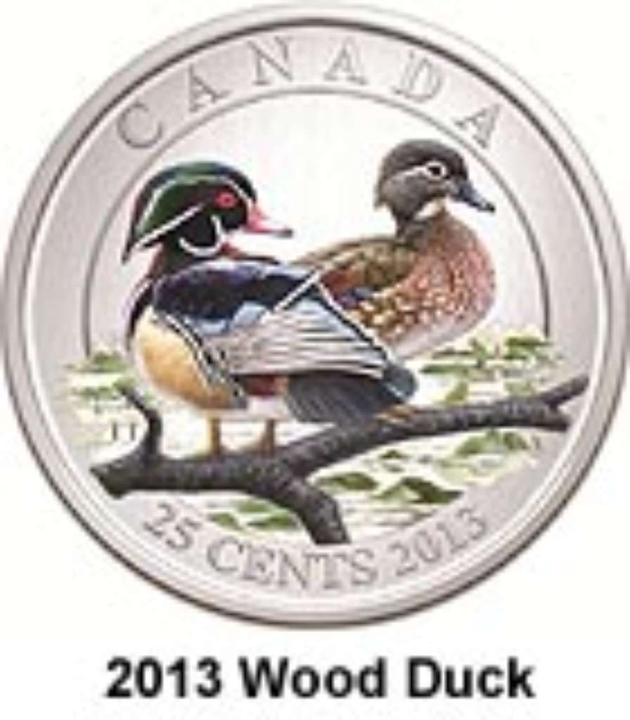 Canada Base Metal 2013 25 Cents Wood Duck - Ducks of Canada SP