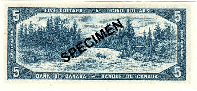 fullMatchVisibleModifiedBeattie-Rasminsky ReplacementEFN/A