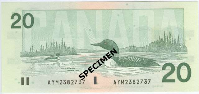 fullMatchVisibleKnight-Dodge, CUUNCN/A