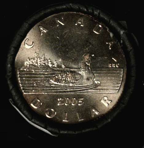 fullMatchVisible2005 LoonOne Dollar