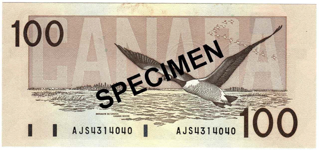 fullMatchVisibleThiessen-Crow; Hidden Back Position No. (BPN)UNCN/A