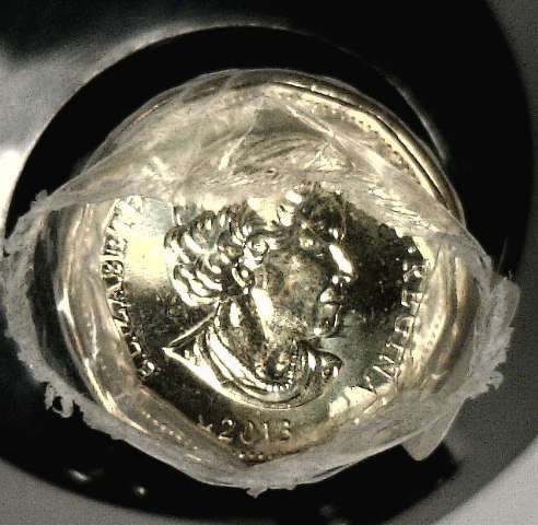 fullMatchVisible2013 LoonOne Dollar