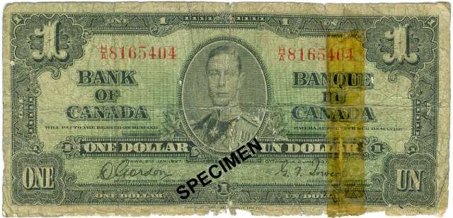 fullMatchVisibleGordon-Towers Narrow Signature PanelGN/A