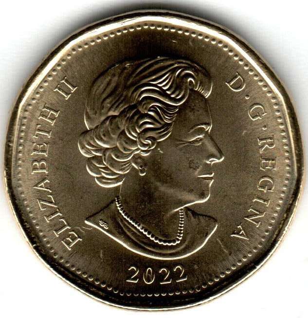 fullMatchVisible2022 LoonMS65N/A