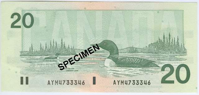 fullMatchVisibleKnight-Dodge AWY PrefixAUN/A