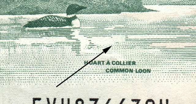 fullMatchVisibleBonin-Thiessen EVH without Back PNVF #3N/A