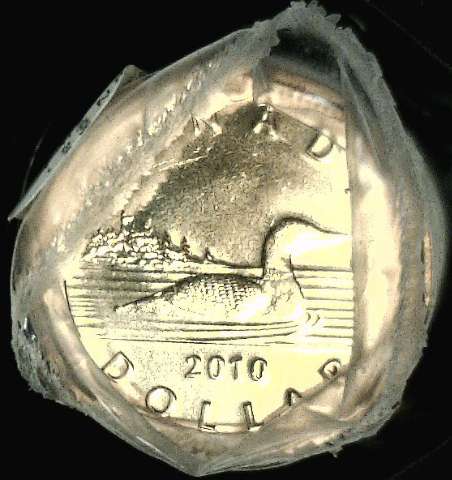 fullMatchVisible2010 LoonOne Dollar