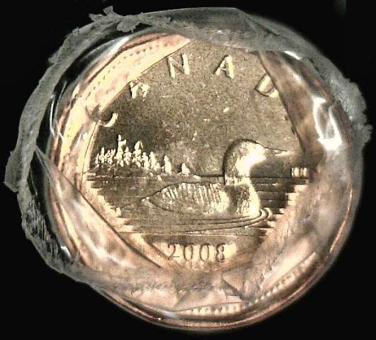 fullMatchVisible2008 LoonOne Dollar