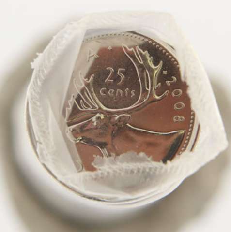 fullMatchVisible2008 Caribou25 cents