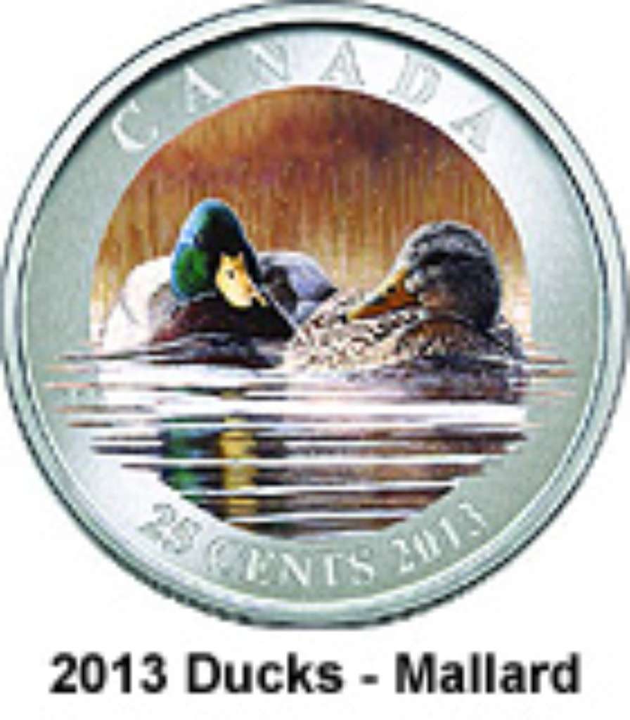 Canada Base Metal 2013 25 Cents Mallard - Ducks of Canada SP