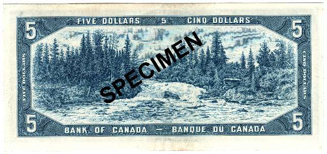 fullMatchVisibleModifiedBeattie-Rasminsky ReplacementEFN/A