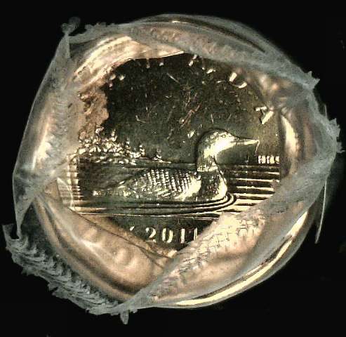 fullMatchVisible2011 LoonOne Dollar