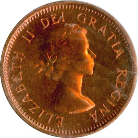 fullMatchVisible1954 No Shoulder FoldPLICCS