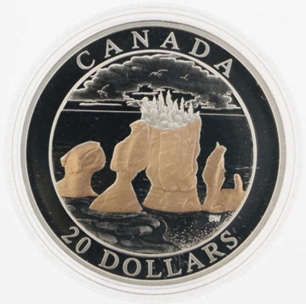 AUBERGE COIN 未使用 Canada Silver 2004 $20 Natural Wonders - Hopewell Rocks PF 1.009oz, .9