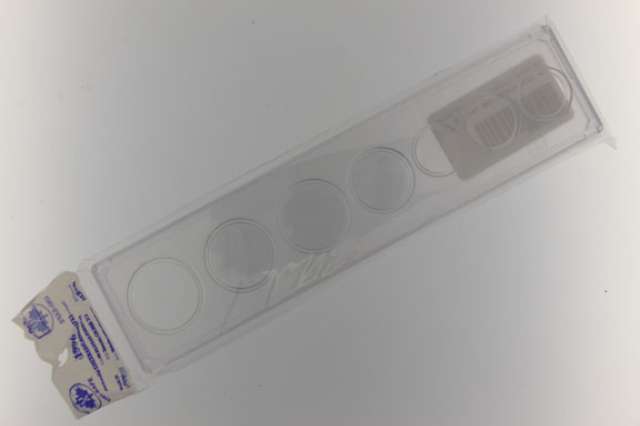 UA Hard Plastic Year Set Holder 2013-on HLRC13 Holds Coins 5 Cents to $2