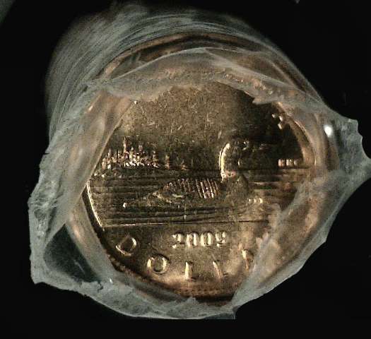 fullMatchVisible2009 LoonOne Dollar