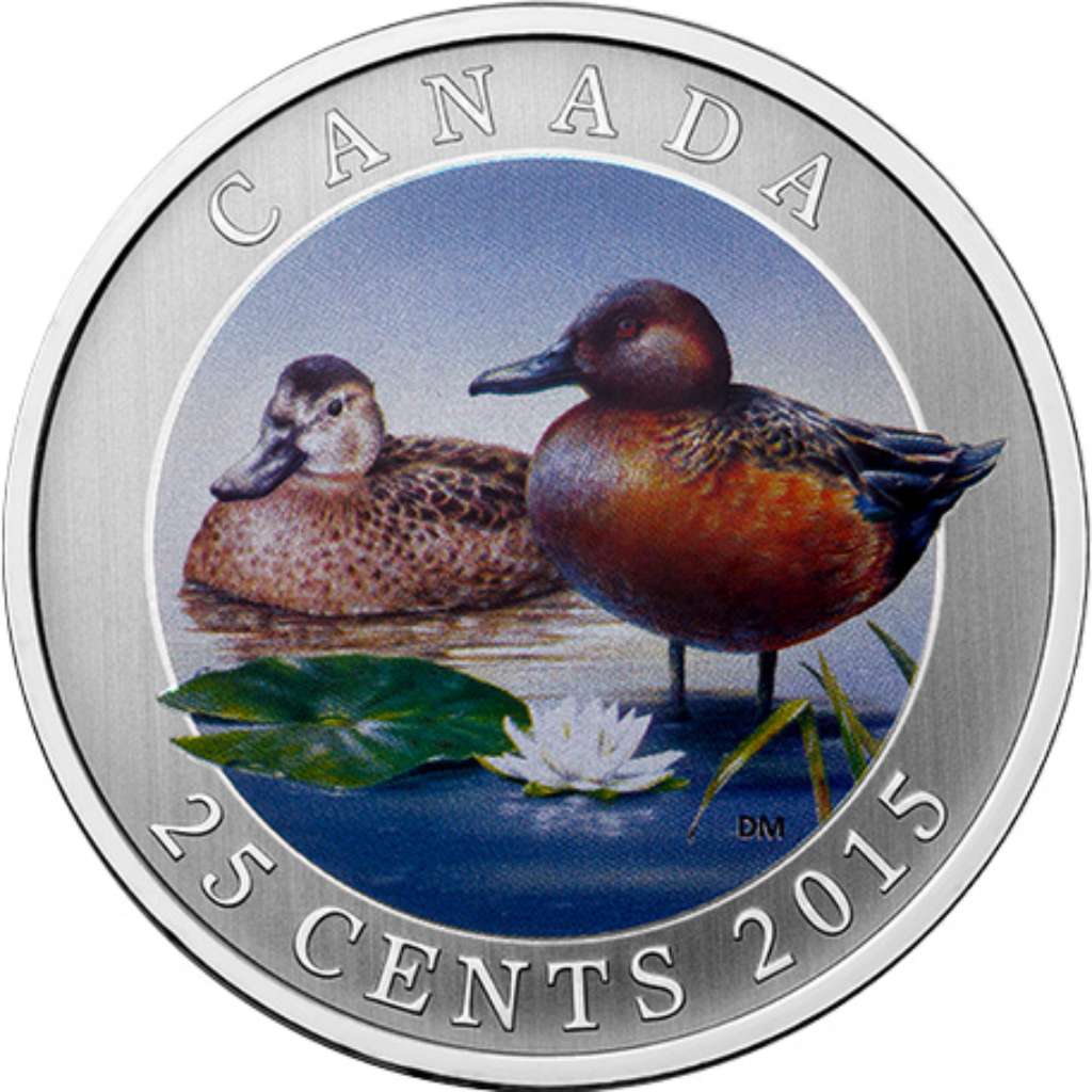 Canada Base Metal 2015 25 Cents Cinnamon Teal - Ducks of Canada SP